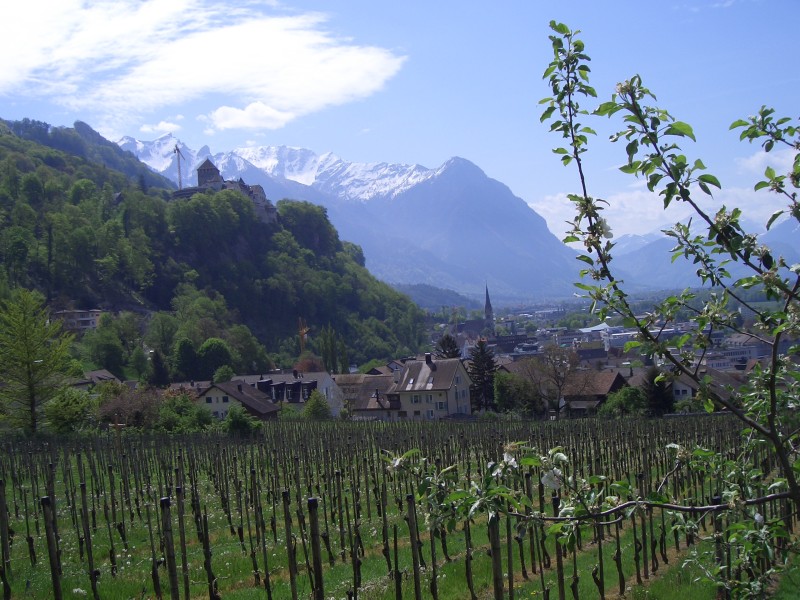 Bläserfreunde 2008 - Feldkirch 010.jpg