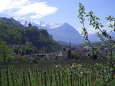 Bläserfreunde 2008 - Feldkirch 010.jpg