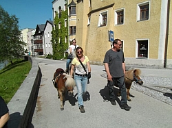 BFN-Tour 2012 - Fieberbrunn 65.jpg